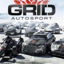 GRID Autosport NSP