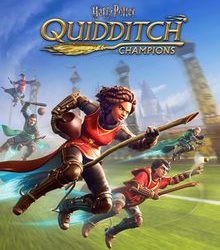 Harry Potter Quidditch Champions NSP