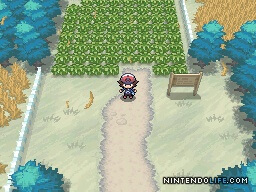 Pokémon Black and White screenshot