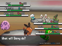 Pokémon Black and White screenshot